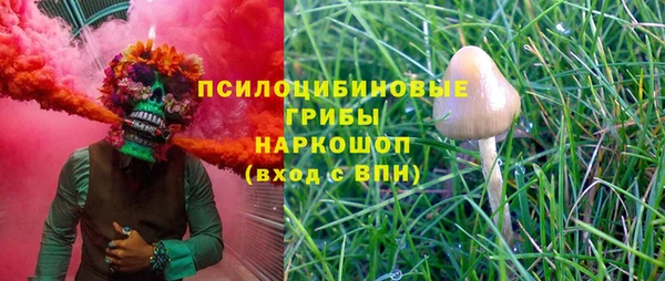 кокс Вяземский