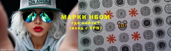 гидра Тайга