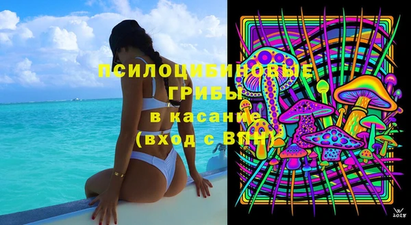 кокс Вяземский