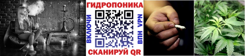 цены   Кандалакша  Канабис OG Kush 